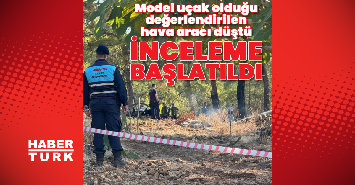 Model uçak olduğu değerlendirilen hava aracı düştü