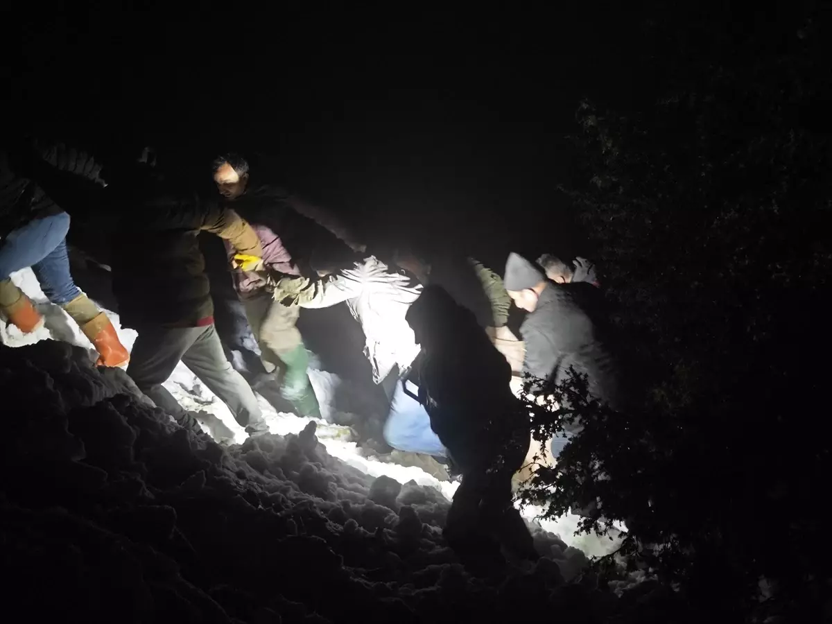 Samsun’da Traktör Kazası: 2 Ölü, 4 Yaralı