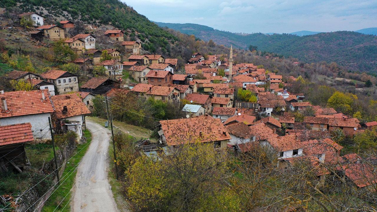 Türkiye’de şehirleşme artıyor, kırsal nüfus azalıyor