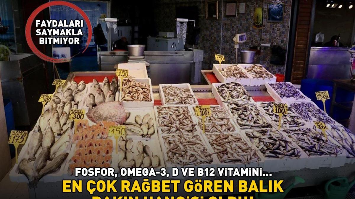 En çok rağbet gören balık bakın hangisi oldu! Faydaları saymakla bitmiyor! Fosfor, Omega-3, D ve B12 vitamini…