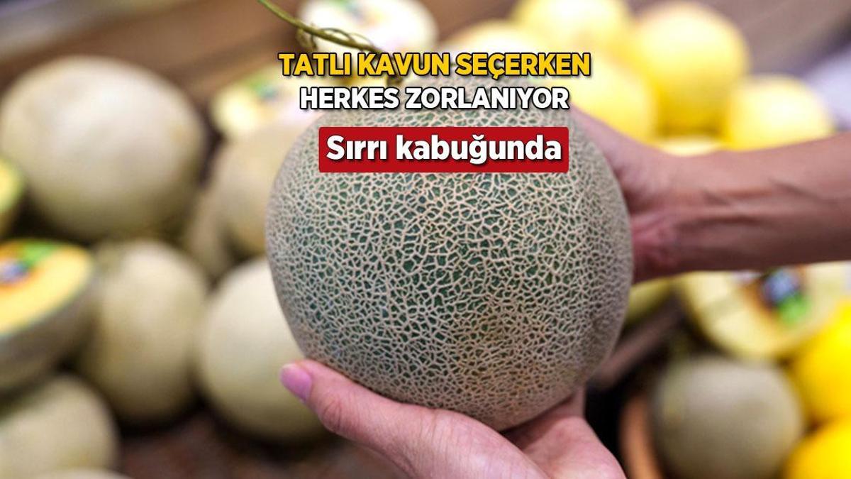 Bal gibi kavun kabuğundan belli olur! Sap kısmı yumuşaksa kaçırmayın